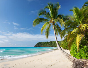 Sandy beach lined with palm trees under a sunny blue sky.