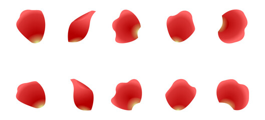 petals of red rose set vector illustration isolated on white background.