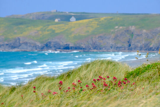 Penhale beach, Cornwall, UK