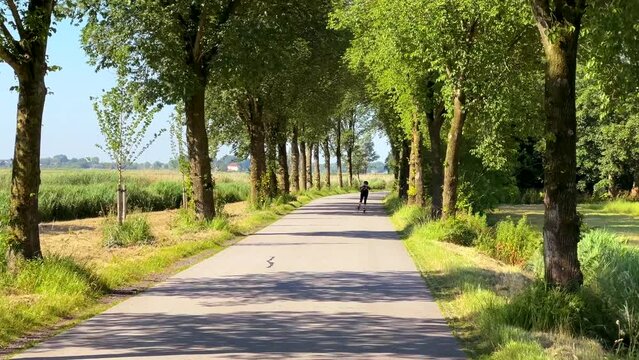Person on inline skates, skeelers, roller blades, skates in summer on bicycle lane, bike path in Friesland, Frisia, Fryslan, the Netherlands, Holland, practice for winter ice skating