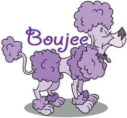 Purple Poodle