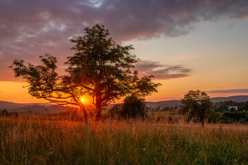 Meadows with sunset in Krusne mountains in evening in Nova Ves v Horach village