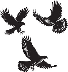 Obraz premium Goshawk flying silhouette