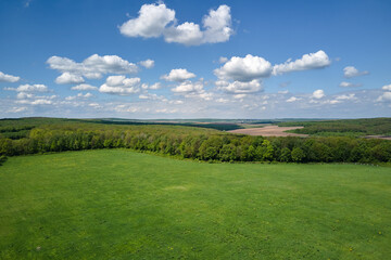 Green agricultural field with growing crops in summer season. Farming and agriculture industry