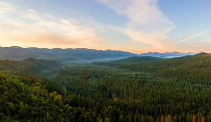 Aerial view of foggy evening over high peaks with dark pine forest trees at bright sunset. Amazing scenery of wild mountain woodland at dusk