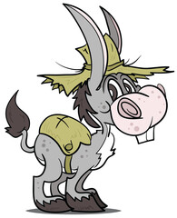 Cute Little Donkey