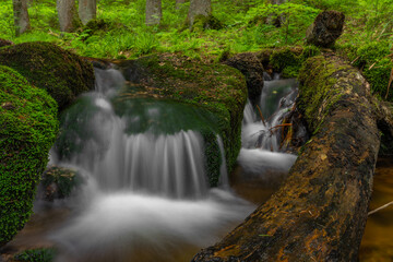 Stribrny creek in Krusne mountains in hot summer day