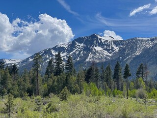 Obraz premium Mount Tallac, South Lake Tahoe, CA
