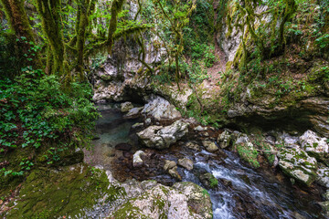 Marvelous scenery at the Grotte del Bussento WWF Oasis, near Morigerati. Cilento, Campania, Italy.