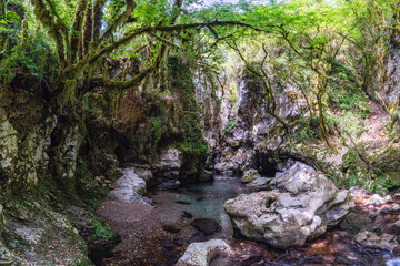 Marvelous scenery at the Grotte del Bussento WWF Oasis, near Morigerati. Cilento, Campania, Italy.
