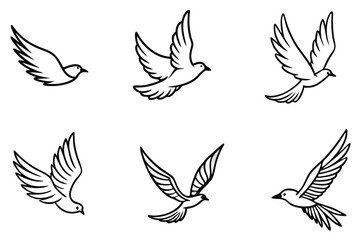 Feathered Flight line art Artistic Depiction of Bird Flight