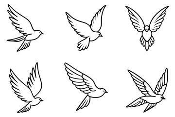 Feathered Flight line art Avian Motion in Black and White