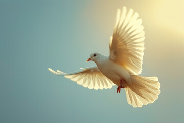 Obraz premium Dove of peace. A graceful white dove soars in the sunlit sky. The light flickers on the wings of a dove, emphasizing its purity and symbolism of peace.