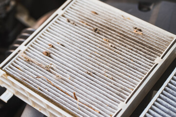 Vehicle cabin air filter in need of replacement