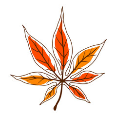 Illustration of maple leaf. Decorative autumn foliage.