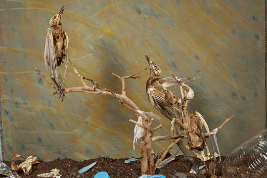 cr&iacute;as de mirlos esqueleto de p&aacute;jaros posados en una rama seca 