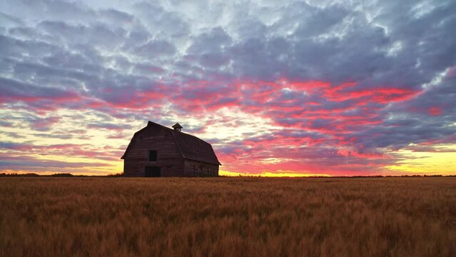 Prairie Timelapse: Barn and Sky Over Golden Wheat Fields in Alberta, Saskatchewan. Serene beauty of the prairies with this stunning timelapse video, featuring an old barn set against sky