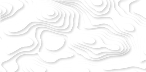 Abstract vector illustration 3d papercut wave line pattern background. white and gray luxury grid topography map and satin smooth wallpaper matt paper light texture.	
