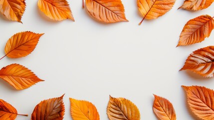 Obraz premium Autumn leaves creating a natural frame on a plain white background, high detail, vibrant colors, high resolution, focus cover all object, deep dept of field
