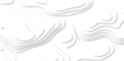 Abstract vector illustration 3d papercut wave line pattern background. white and gray luxury grid topography map and satin smooth wallpaper matt paper light texture.