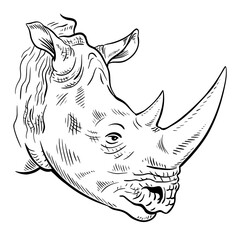African rhinoceros. Animal head portrait. Big herbivorous mammal with a horn on its nose. Cartoon vector illustration. Hand drawn outline. Black ink sketch