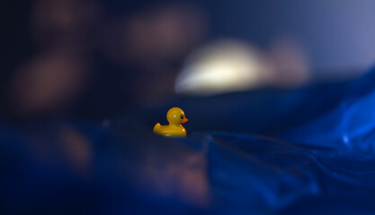 Rubber Ducky on an adventure on water