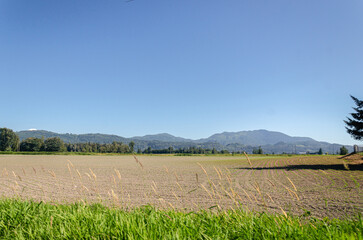 Agricultural farms in Chilliwack, Fraser Valley, BC, Canada