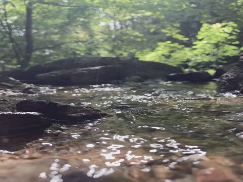 Bachlauf im Wald