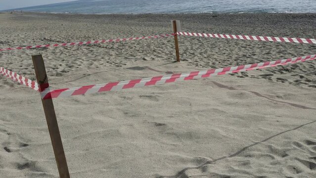 Sea turtle egg laying site. Protected green turtle nesting area on the sea beach. Sea turtle nesting season.