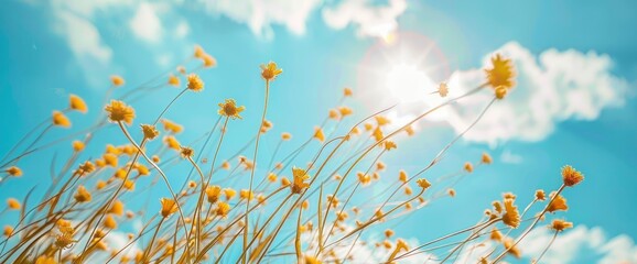 A Sunny Day Brings Serenity, Filling The Air With Bright Yellow Warmth And A Peaceful Blue Sky