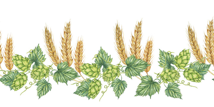 Hops and barley seamless border in watercolor. Green humulus lupulus cones and wheat ears repeating pattern banner for Oktoberfest, St Patrick's day, beer labels, traditional festival clipart