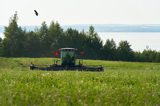 Hay-making. A self-propelled mower cuts and swaths grass on the bank of a water body.