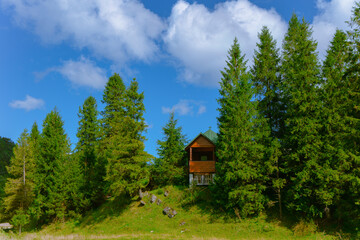 small cottage wooden cabin in highland mountain evergreen forest idyllic peaceful natural place summer time clear weather day with blue sky background