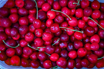 A Beautiful sweet cherry on nature in the park background for marketing