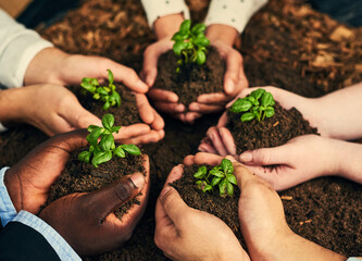 Hands, plants and group with support, teamwork or sustainable business, growth and eco friendly...