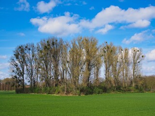 Schöne ländlichen Umgebung mit blauem Himmel