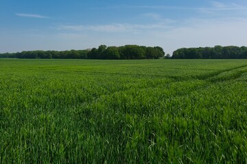 Schöne ländlichen Umgebung mit blauem Himmel