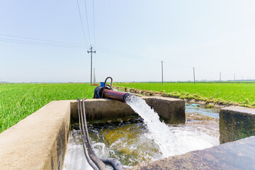 Water wells for paddy field irrigation in Northeast China