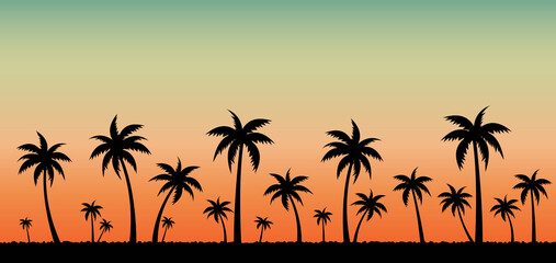 Palm Tree Border And Sunset Background