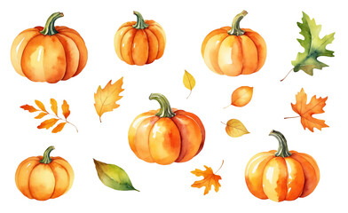 Set of watercolor compositions with pumpkins and autumn leaves isolated on a transparent background. Fall nature design elements. Botanical image fordecoraton cards, posters, textile, menu, stickers.