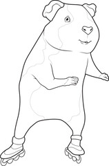 Guinea pig Inline skating Roller skates Animal Vector Graphic Art Illustration