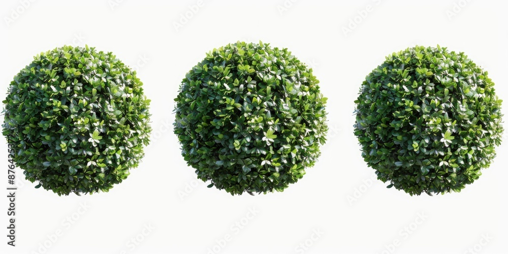 Poster image of three topiary trees on a white background, perfect for home decor or design projects