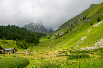 Obraz premium landscape in the mountains