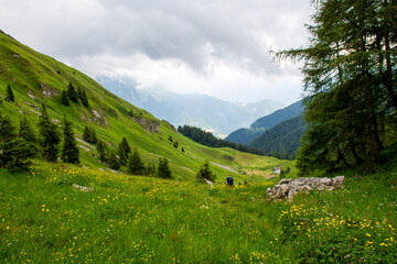 landscape in the mountains