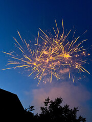 Golden fireworks exploding above trees and houses