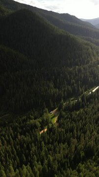 Vertical aerial tilt down on camper in Saint Joe Mountains pine tree forest in north Idaho