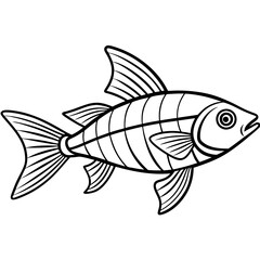 illustration of a fish