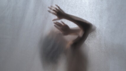 Abstract Silhouette: Expressive Movement Behind Translucent Veil