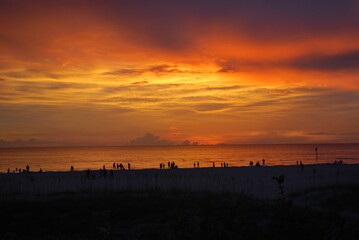 Naklejka premium sunset on the beach