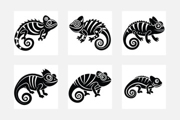 chameleon illustration bundle
